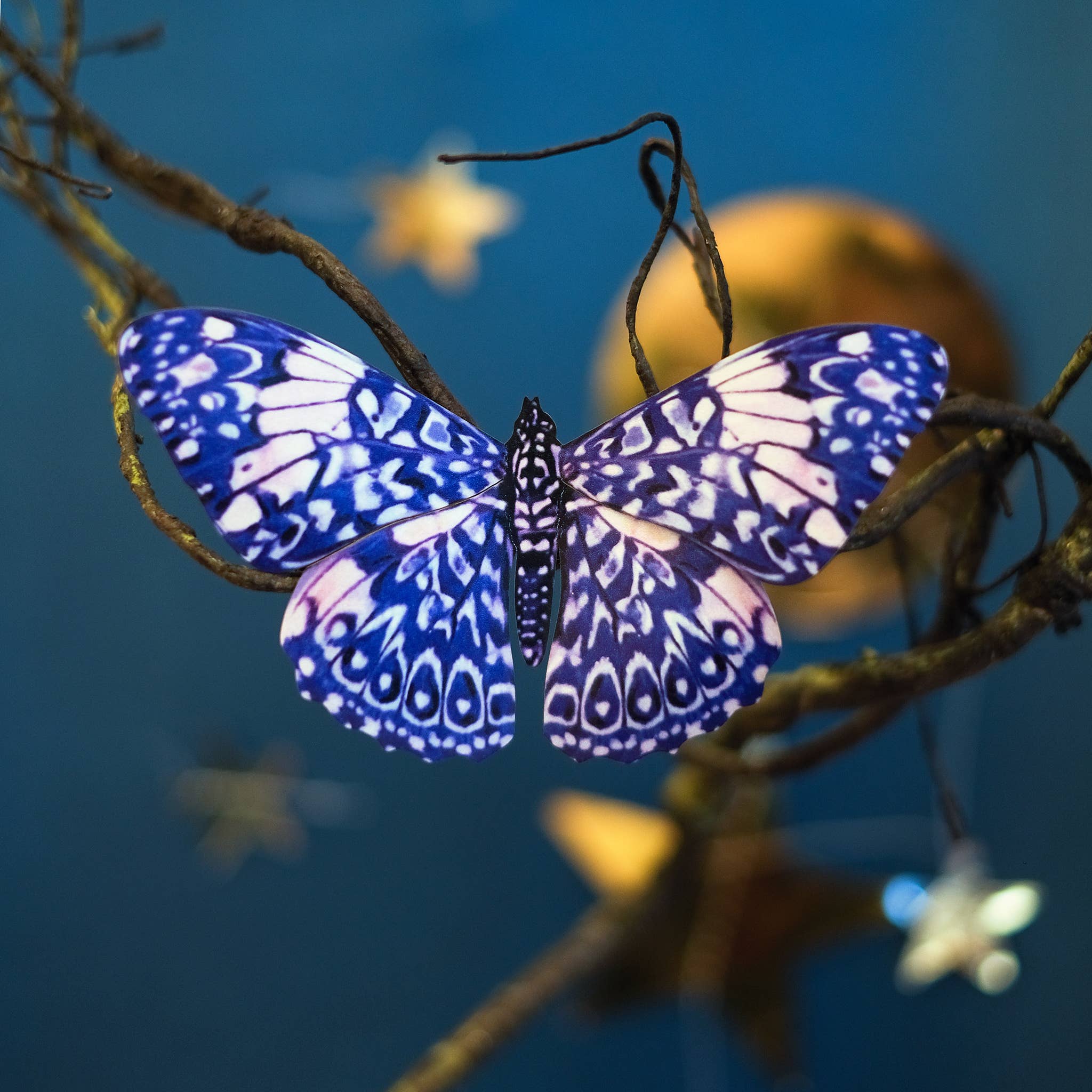 Celestial Butterflies 3pc Laser Cut Specimens