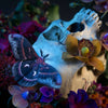 Autumn Cecropia Moth Laser Cut Specimens