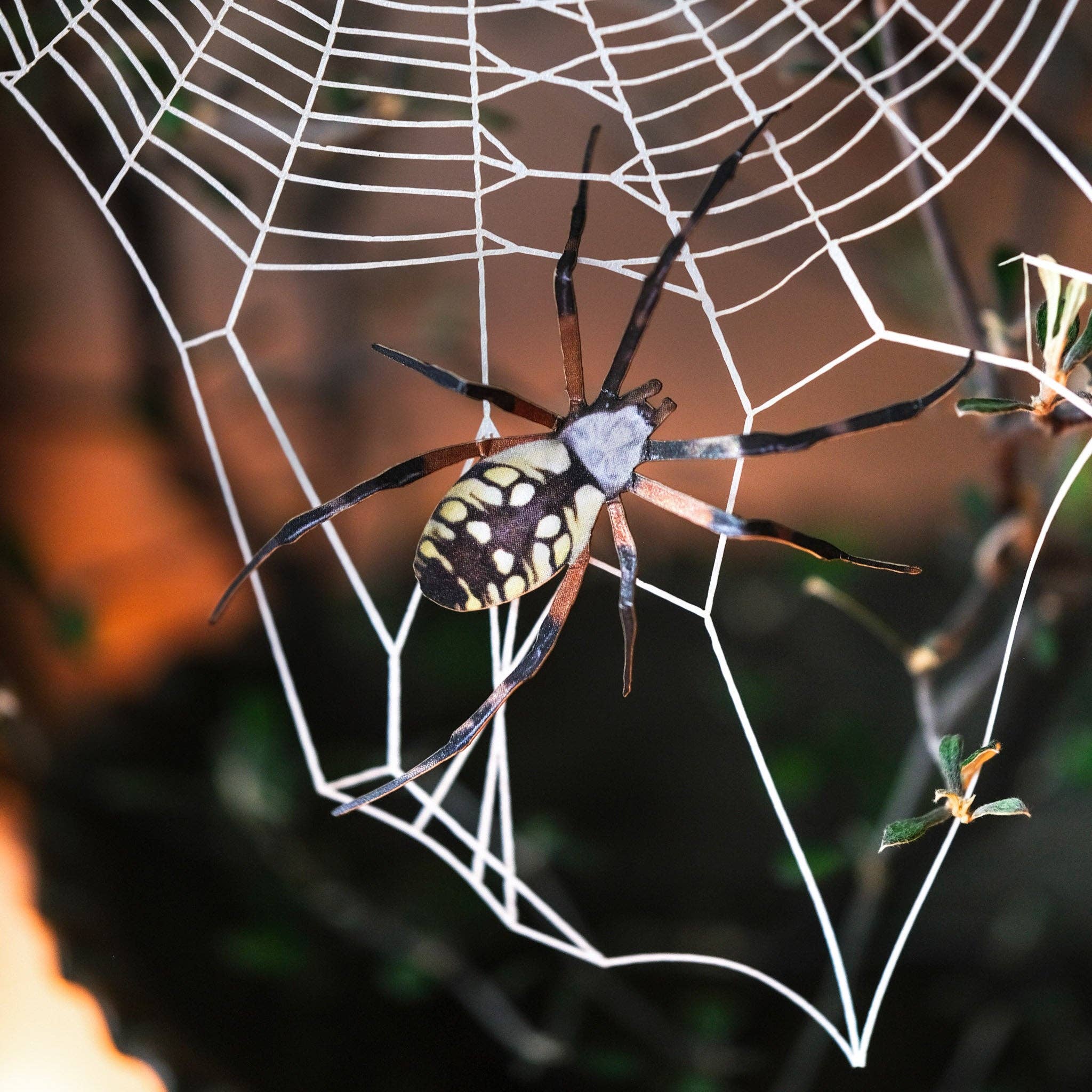 Weaver Spiderweb & Spider Paper Set