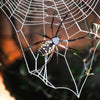 Weaver Spiderweb & Spider Paper Set
