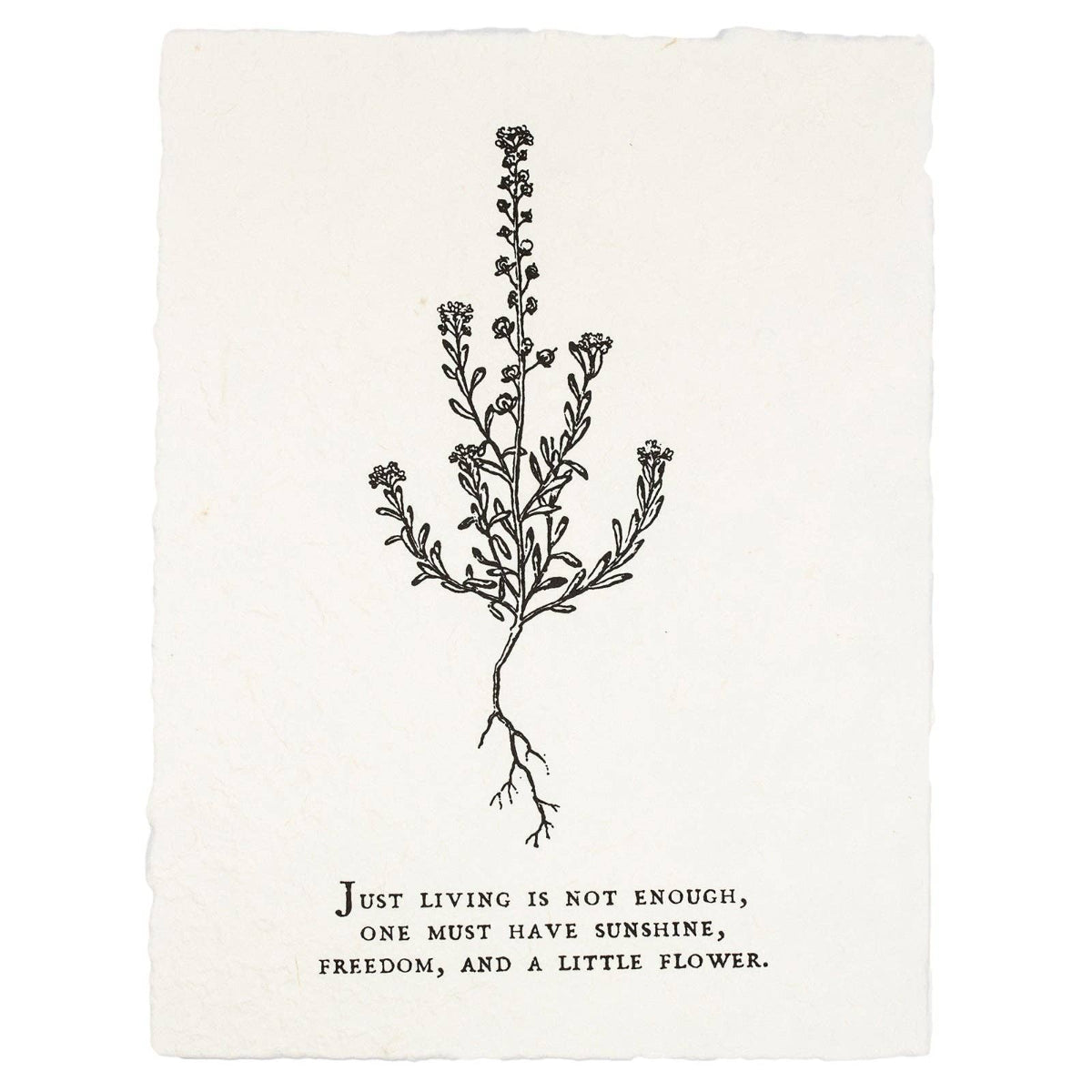 Just Living Is Not Enough Botanical Handmade Paper Print