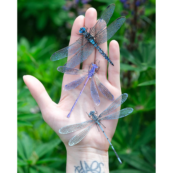 Aerial Dragonfly 3pc Laser Cut Specimens