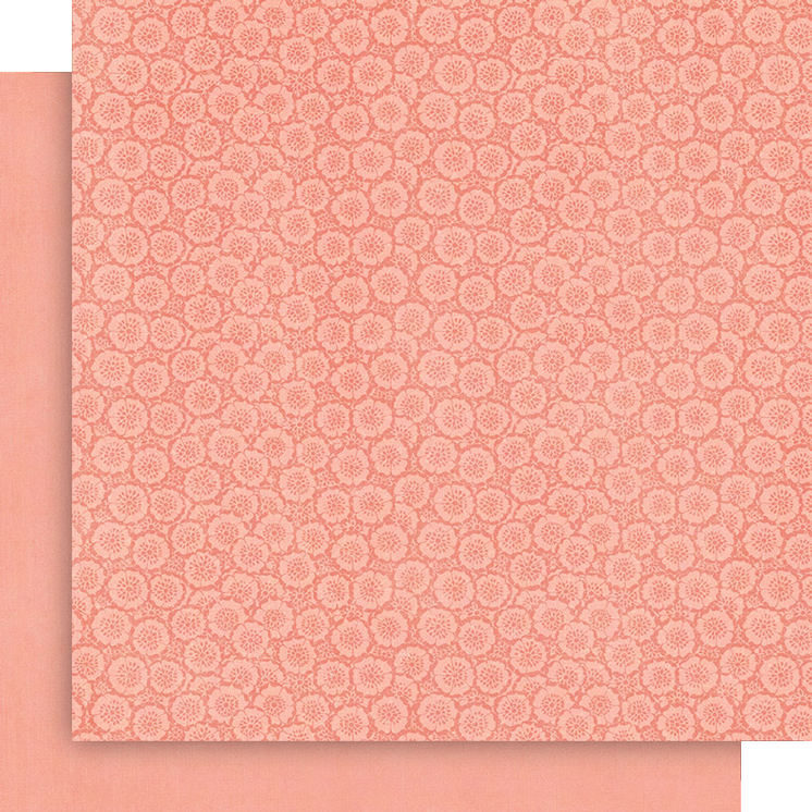 Fairy Boutique 8x8 Collection Pack