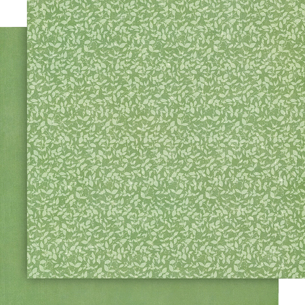 Fairy Boutique 8x8 Collection Pack