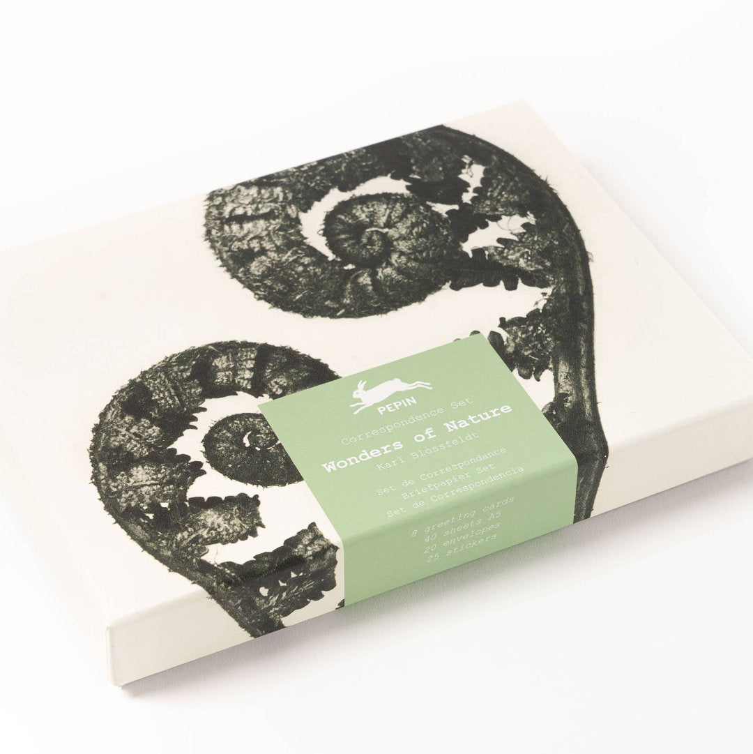Wonders of Nature {Blossfeldt} Correspondence Set {clearance}