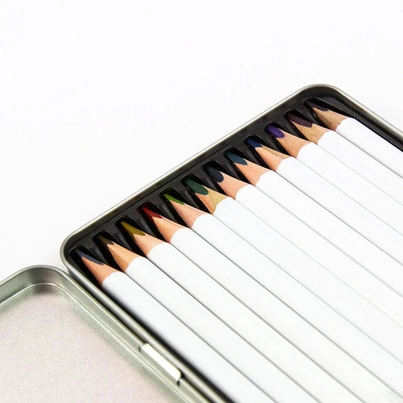 Nuvo Classic Color Pencils {multiple color sets}