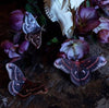 Autumn Cecropia Moth Laser Cut Specimens
