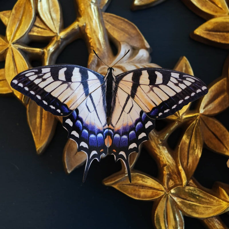East Coast Butterflies 3pc Laser Cut Specimens