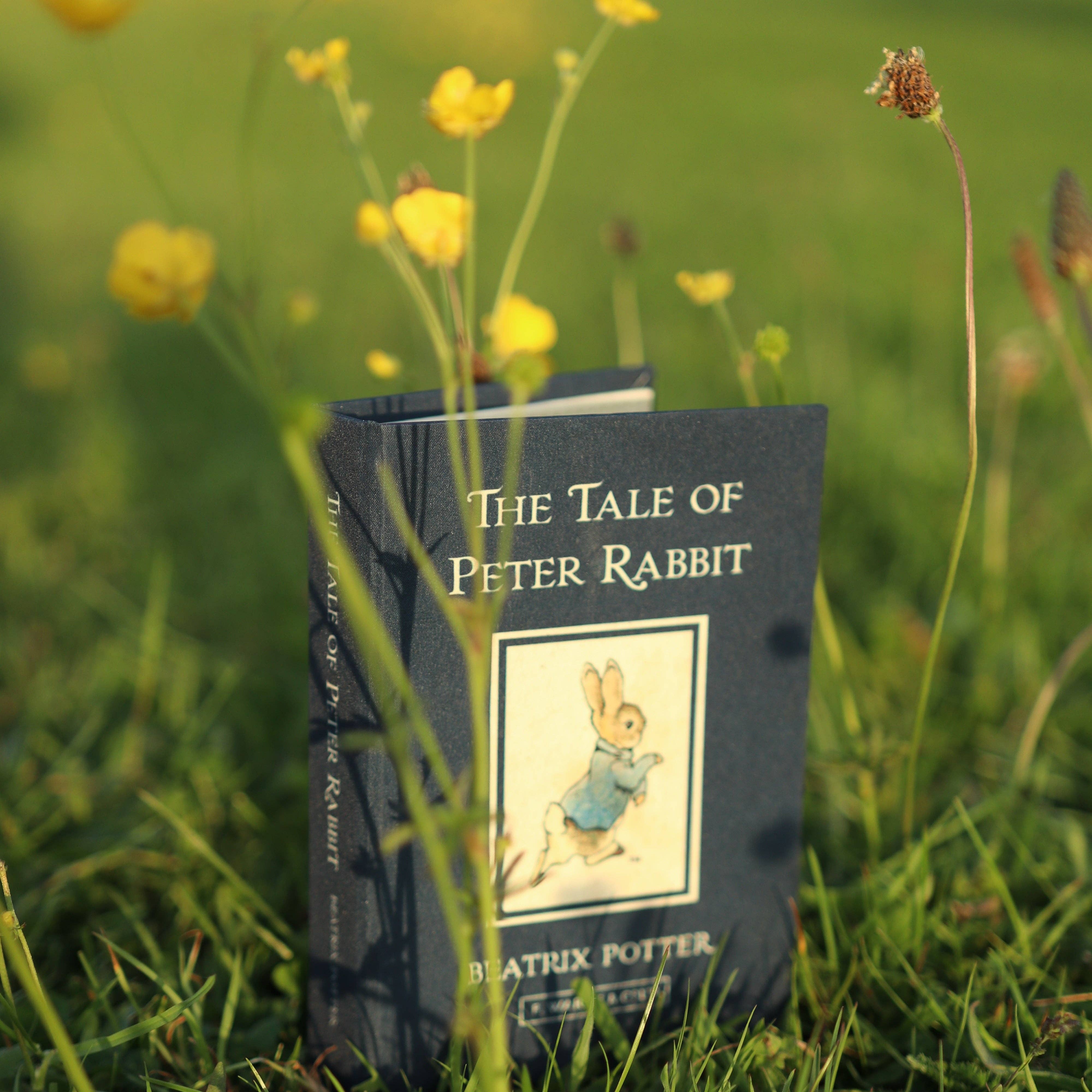 The Tale of Peter Rabbit Passport/Notebook Wallet Beatrix Potter 1902