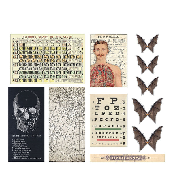 Transparencies {Halloween 2022} | idea-ology