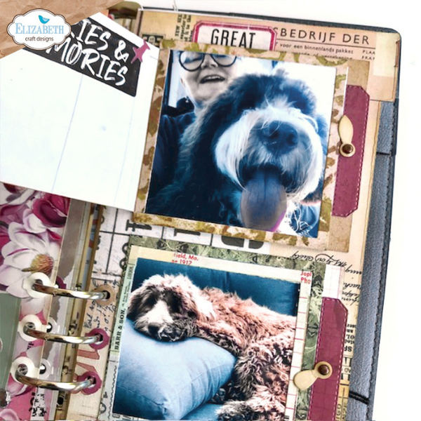 Page Tab 6 {with Turnbutton Frame} Die Set