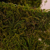 Moss Ribbon Roll