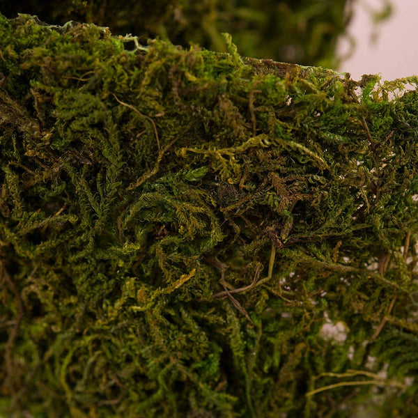Moss Ribbon Roll