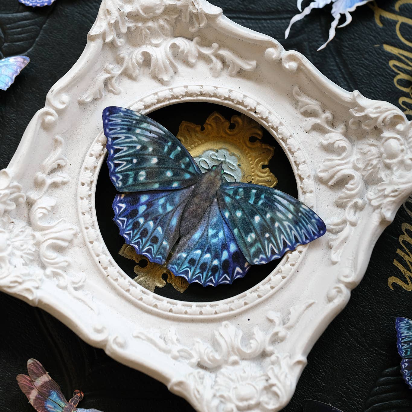 Celestial Butterflies 3pc Laser Cut Specimens