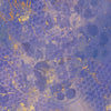 Honeysuckle 12x12 Paper Pad | Nature's Garden