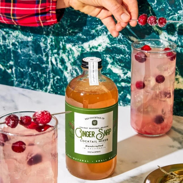 Mélangeur à cocktail au gingembre | Vacances saisonnières