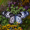 Marble Butterflies 3pc Laser Cut Specimens