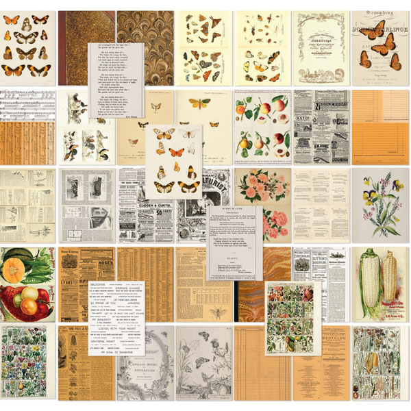 Peach 6x8 Collage Sheets | Color Swatch
