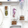 Biophilia Micro Laser Cut Specimen Collection
