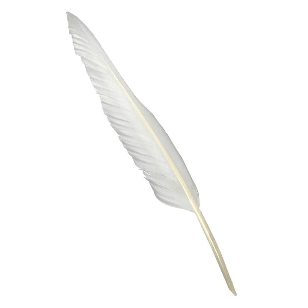 White 12