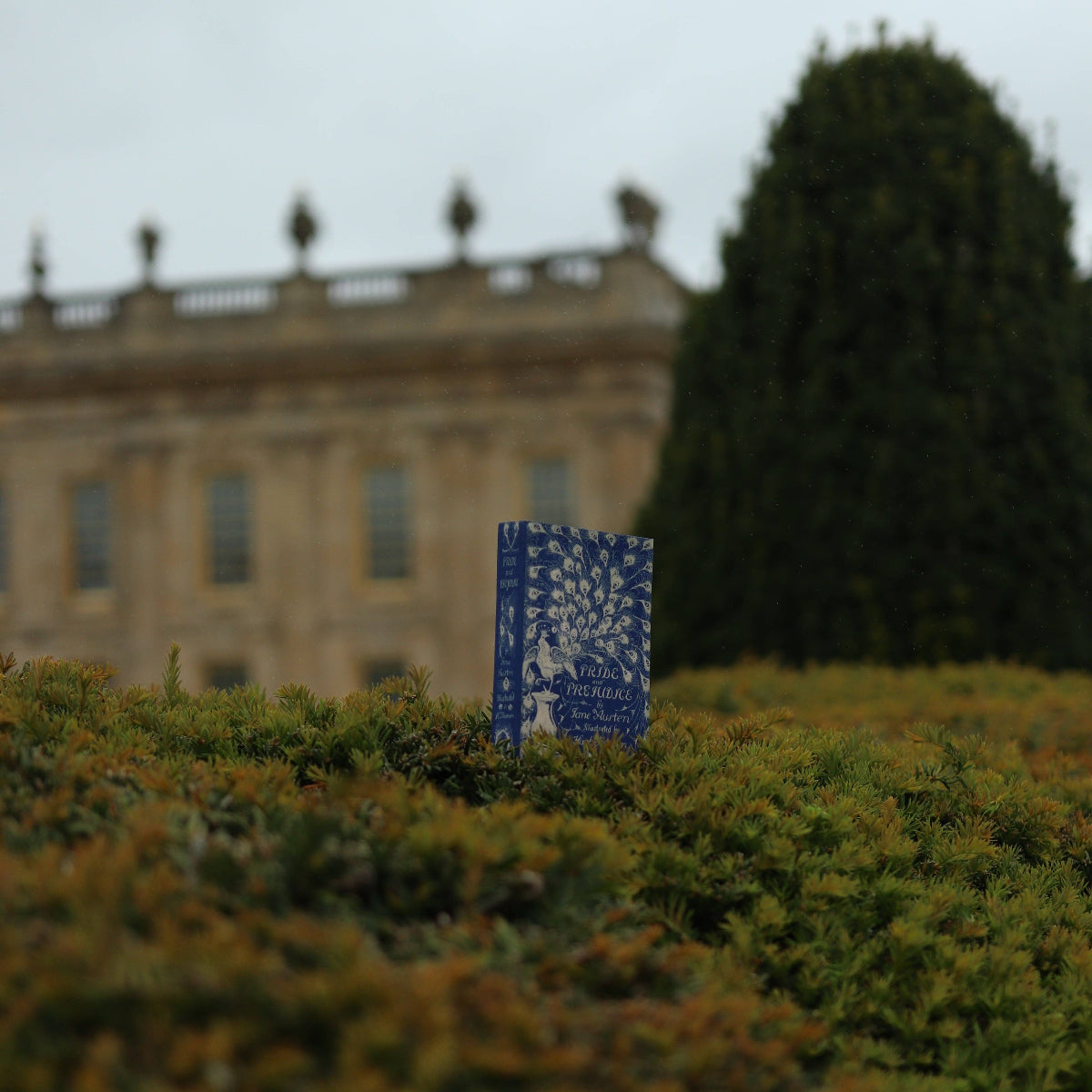 Pride & Prejudice Book Wallet {Peacock} | Jane Austen 1813