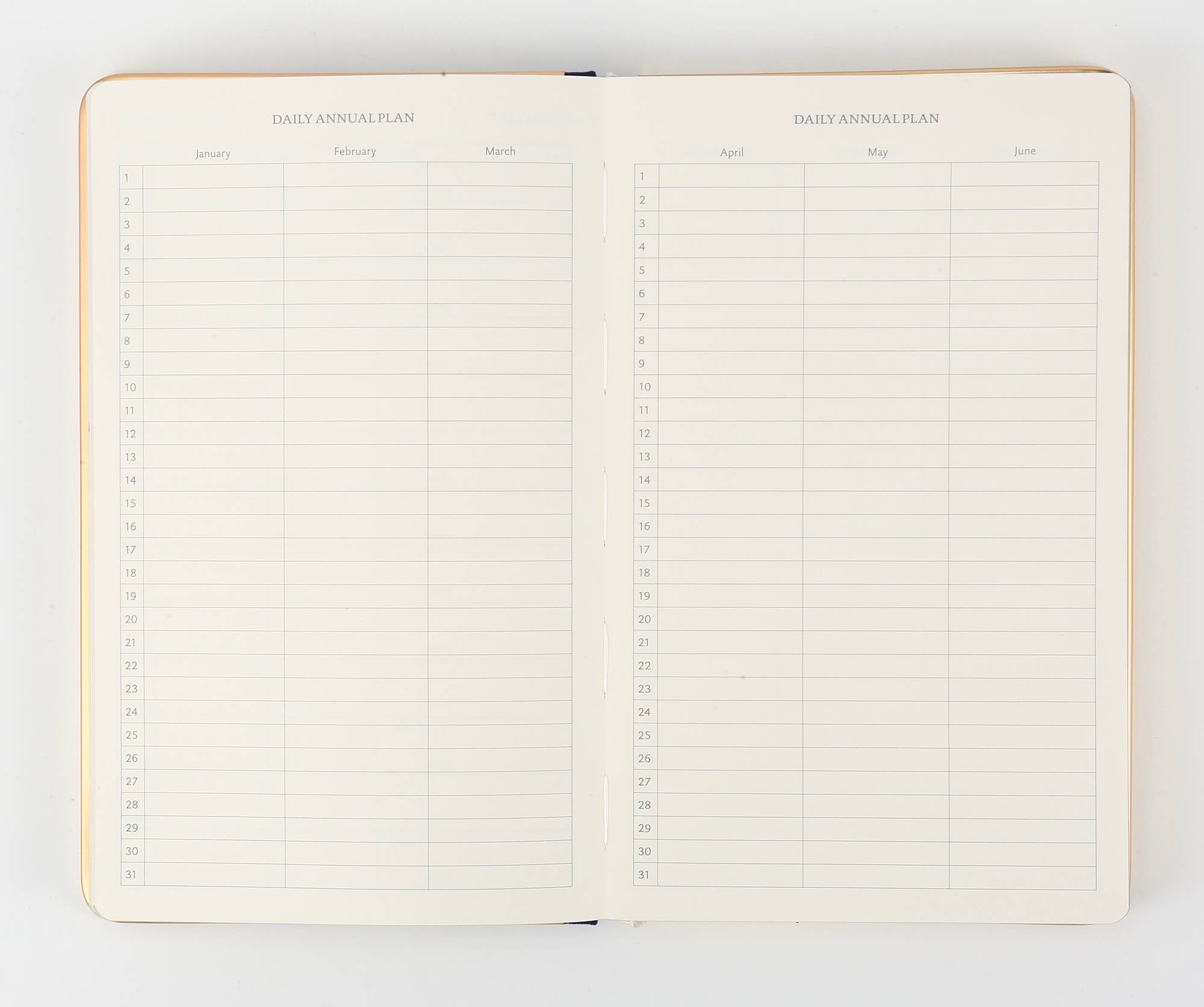 Pink Monaco A6 Undated Personal Planner