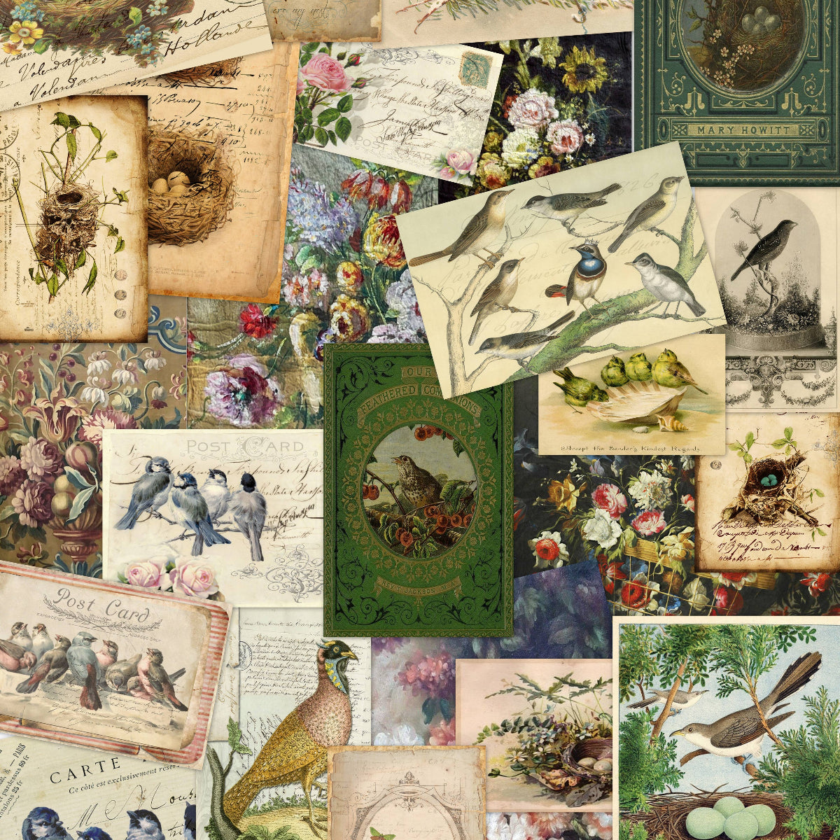 Collage of vintage-style cards with birds, nests, and nature-themed illustrations.