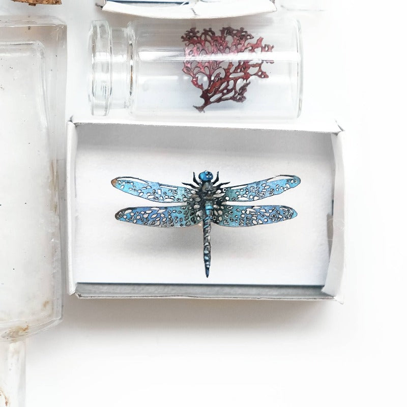 Biophilia Micro Laser Cut Specimen Collection