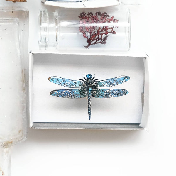 Biophilia Micro Laser Cut Specimen Collection