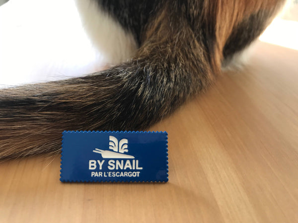 By Snail Enamel Pin