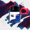 Phantom of the Opera Fountain Pen Ink | Gaston Leroux
