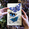 Celestial Butterflies 3pc Laser Cut Specimens