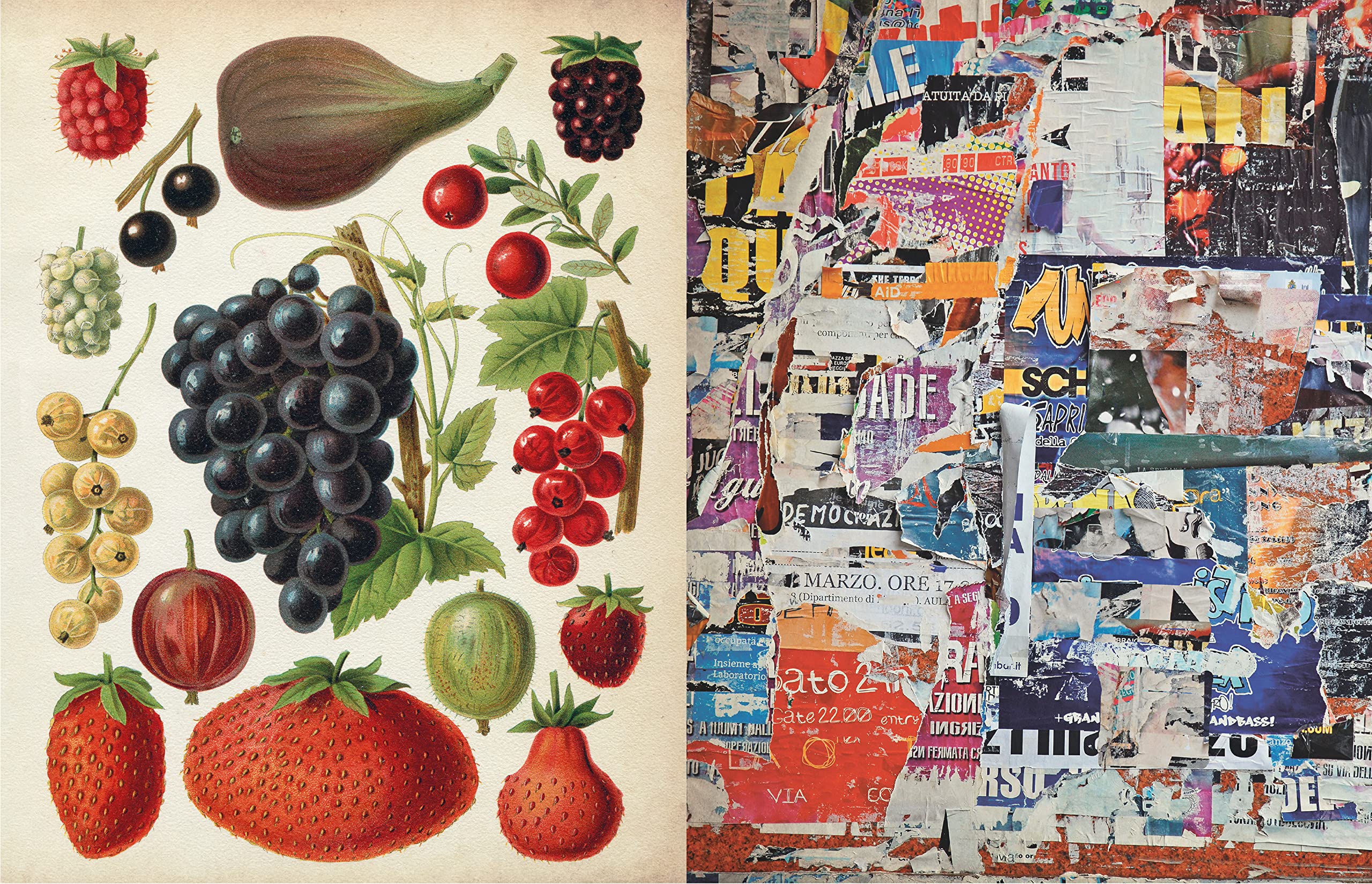 Snipping the Stress Away: A Collage Activity Journal