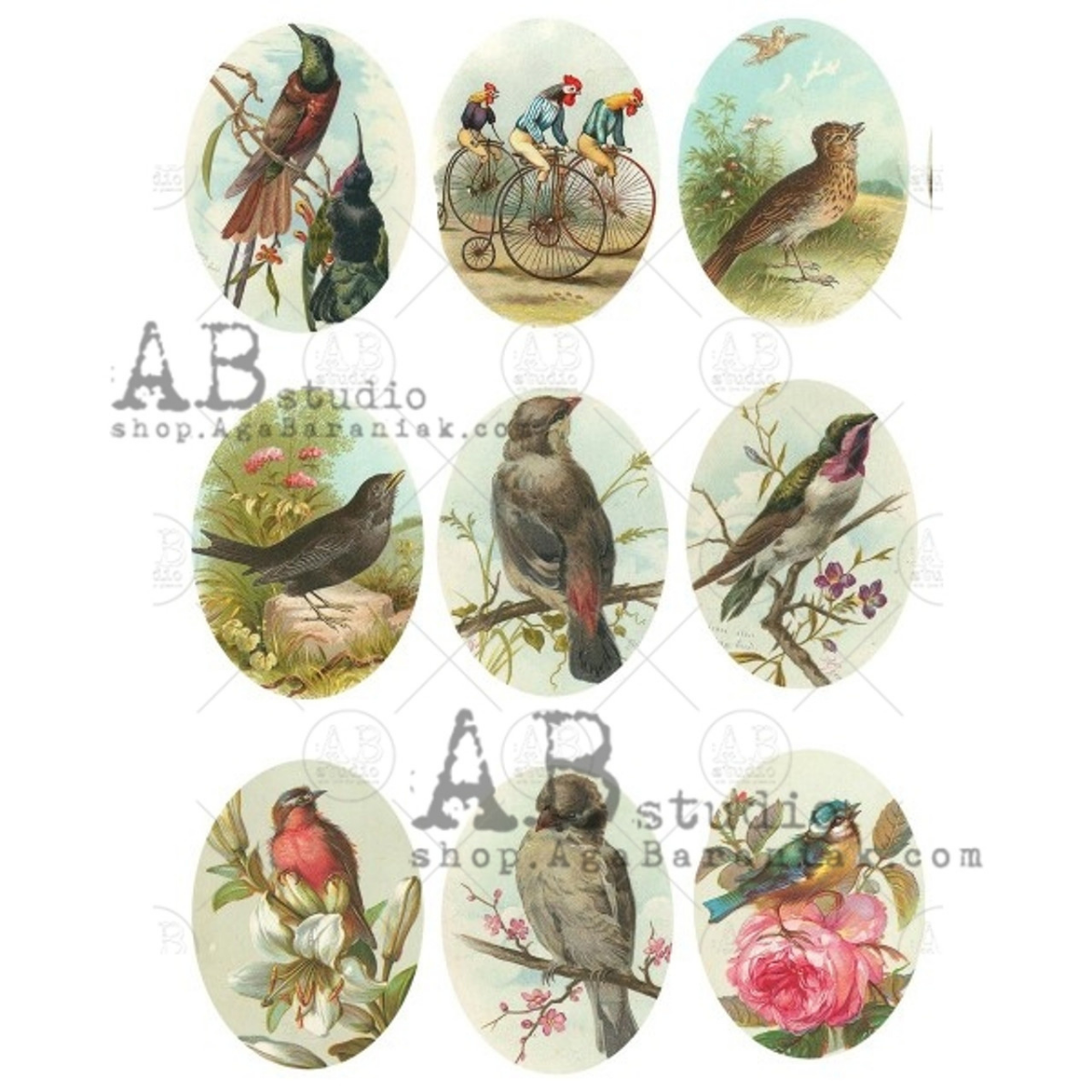 Bird Cameos A4 Rice Paper