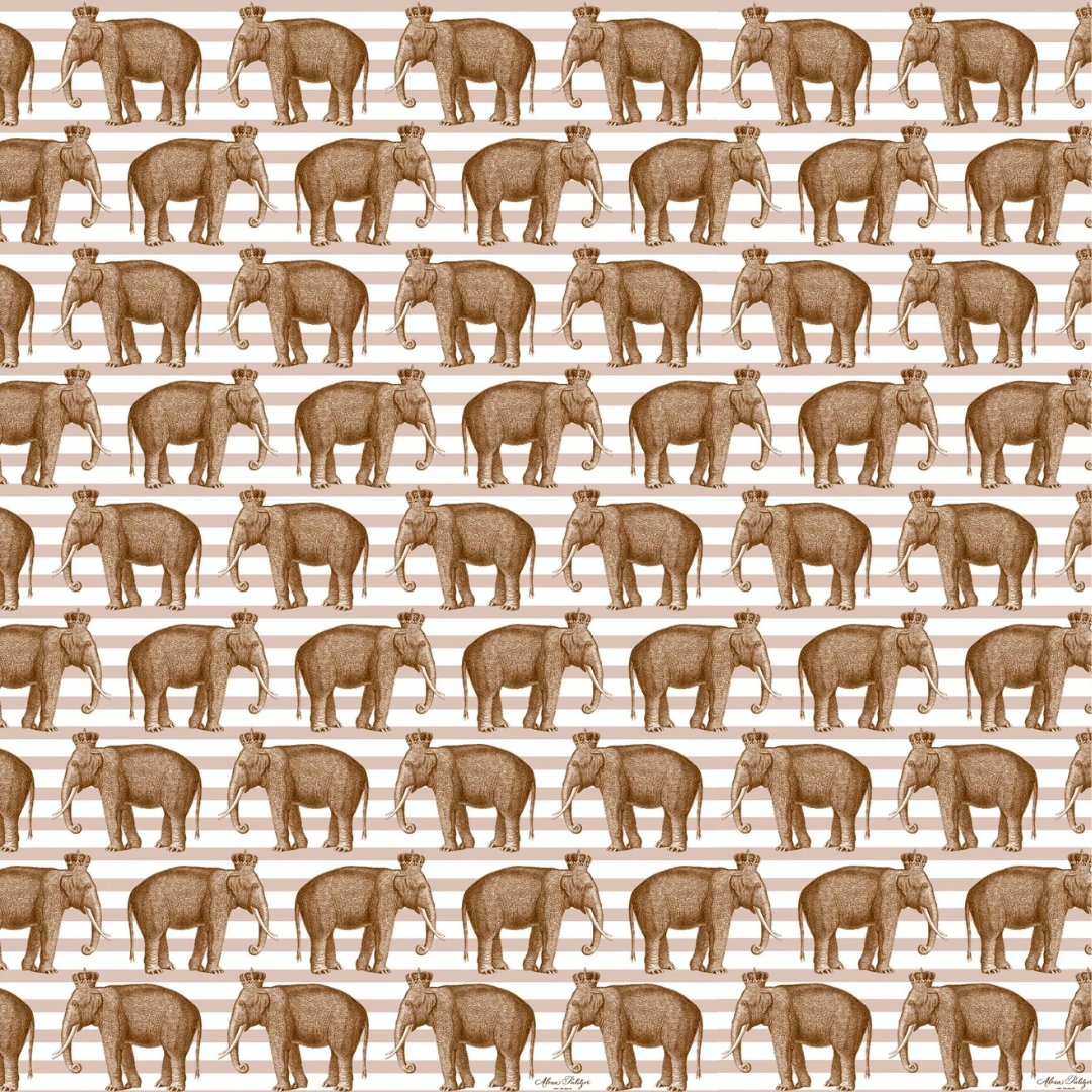 Papier cadeau éléphant royal