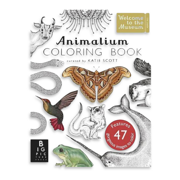 Animalium | Welcome to the Museum Book Collection