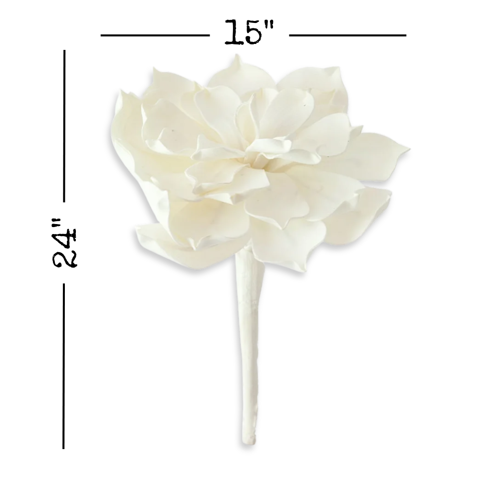 Botanica No. 334