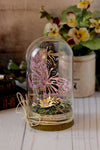 Display Dome | idea-ology