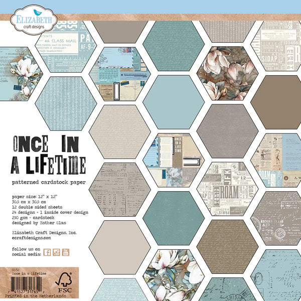 Once in a Lifetime 12x12 Paper Pack