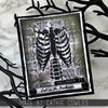 Curator Cling Stamp Set | Tim Holtz
