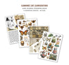 {back soon!} Cabinet of Curiosities Junk Journal + Ephemera Book