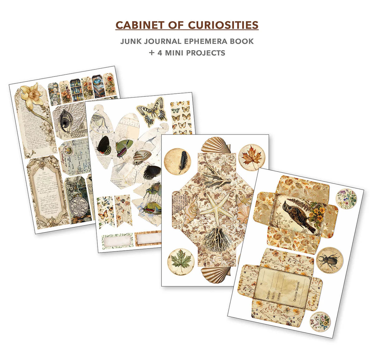 {back soon!} Cabinet of Curiosities Junk Journal + Ephemera Book