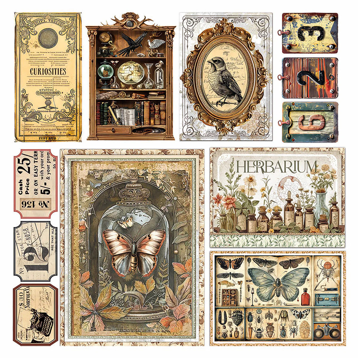Cabinet Of Curiosities 6x6 Vellum Fussy Cut Pad