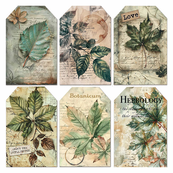 Cabinet Of Curiosities 6x6 Vellum Fussy Cut Pad