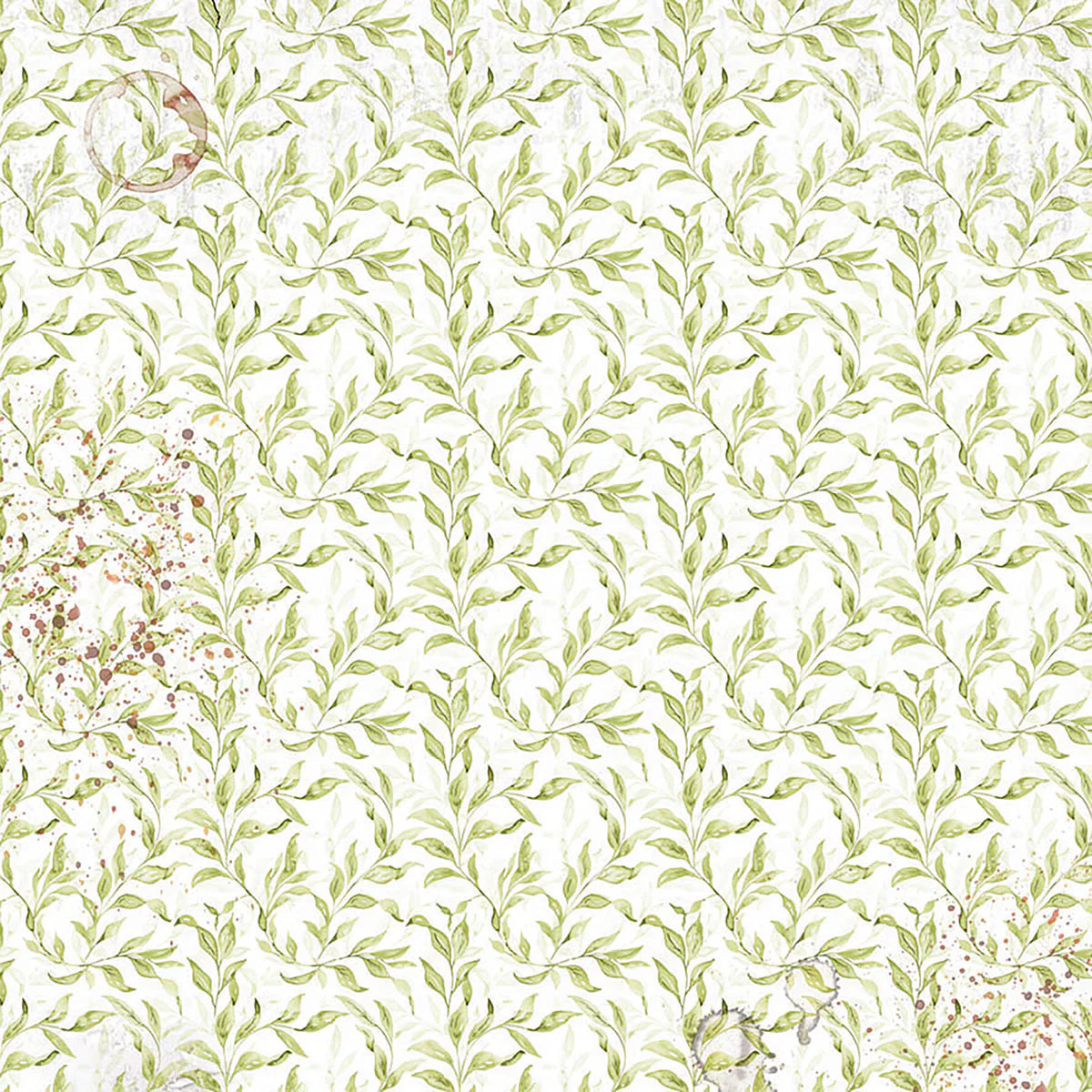 Cabinet Of Curiosities 6x6 Vellum Fussy Cut Pad