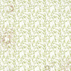 Cabinet Of Curiosities 6x6 Vellum Fussy Cut Pad