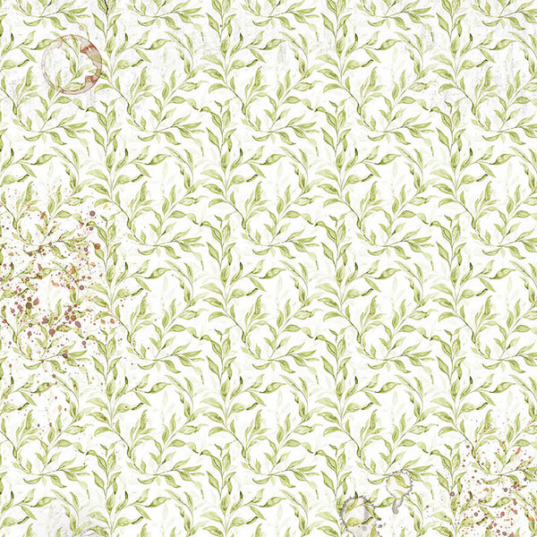 Cabinet Of Curiosities 6x6 Vellum Fussy Cut Pad