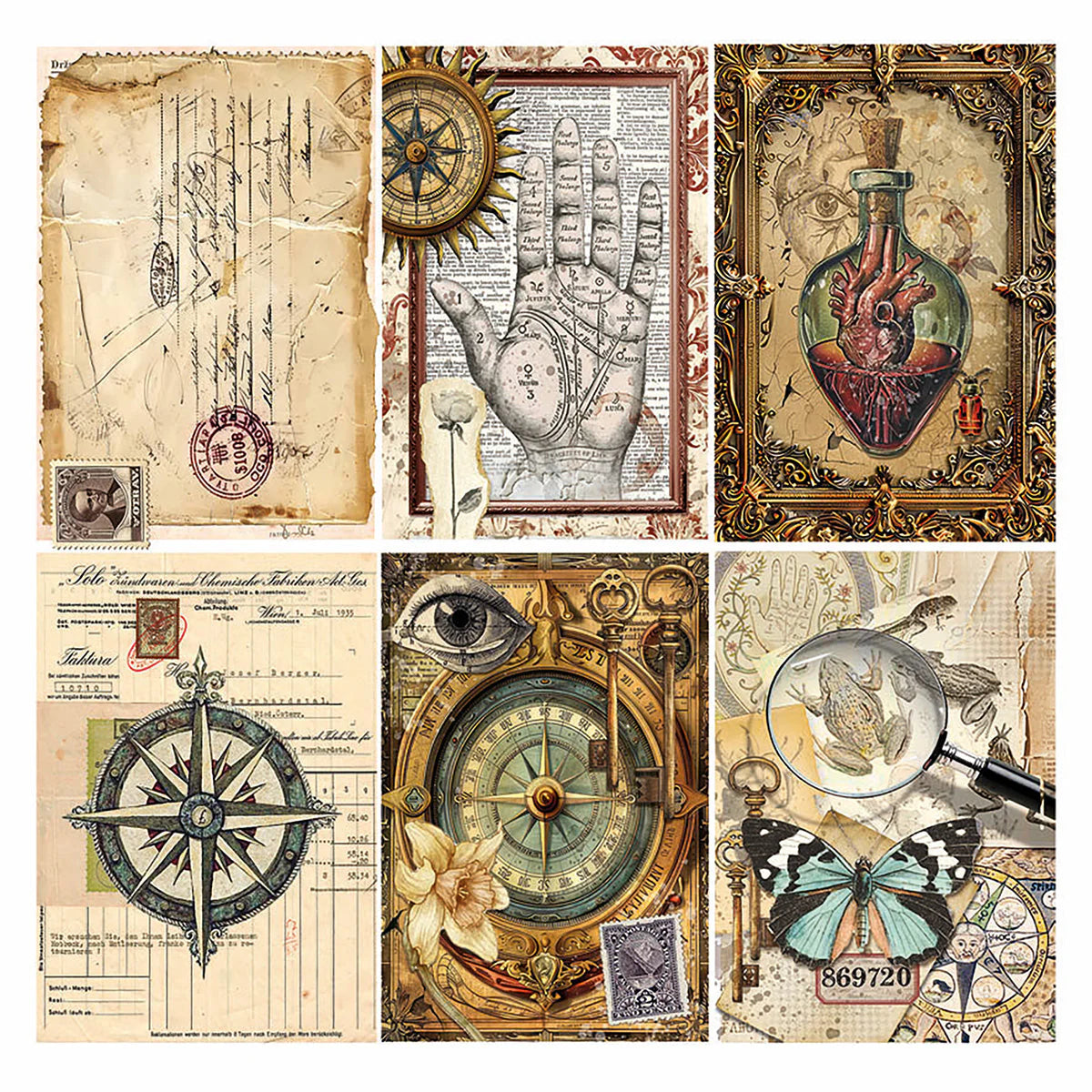 Cabinet Of Curiosities 6x6 Vellum Fussy Cut Pad