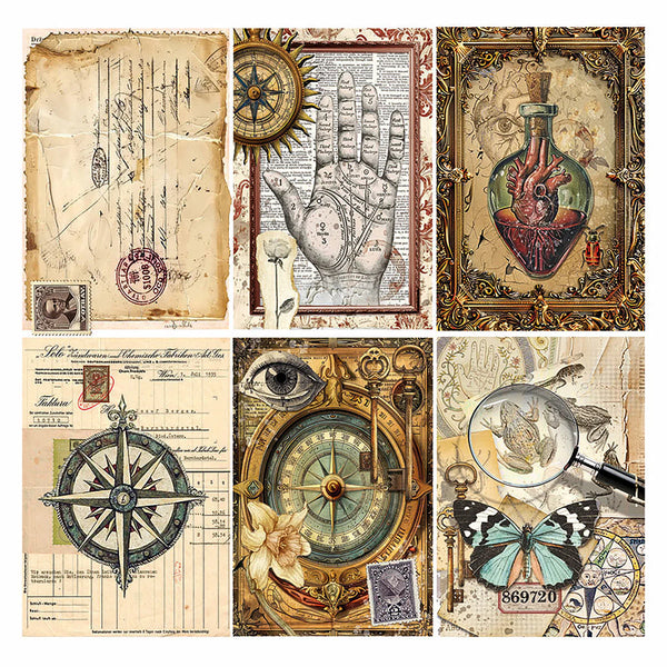 Cabinet Of Curiosities 6x6 Vellum Fussy Cut Pad