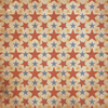 Vintage Carnival 12x12 Paper Pad